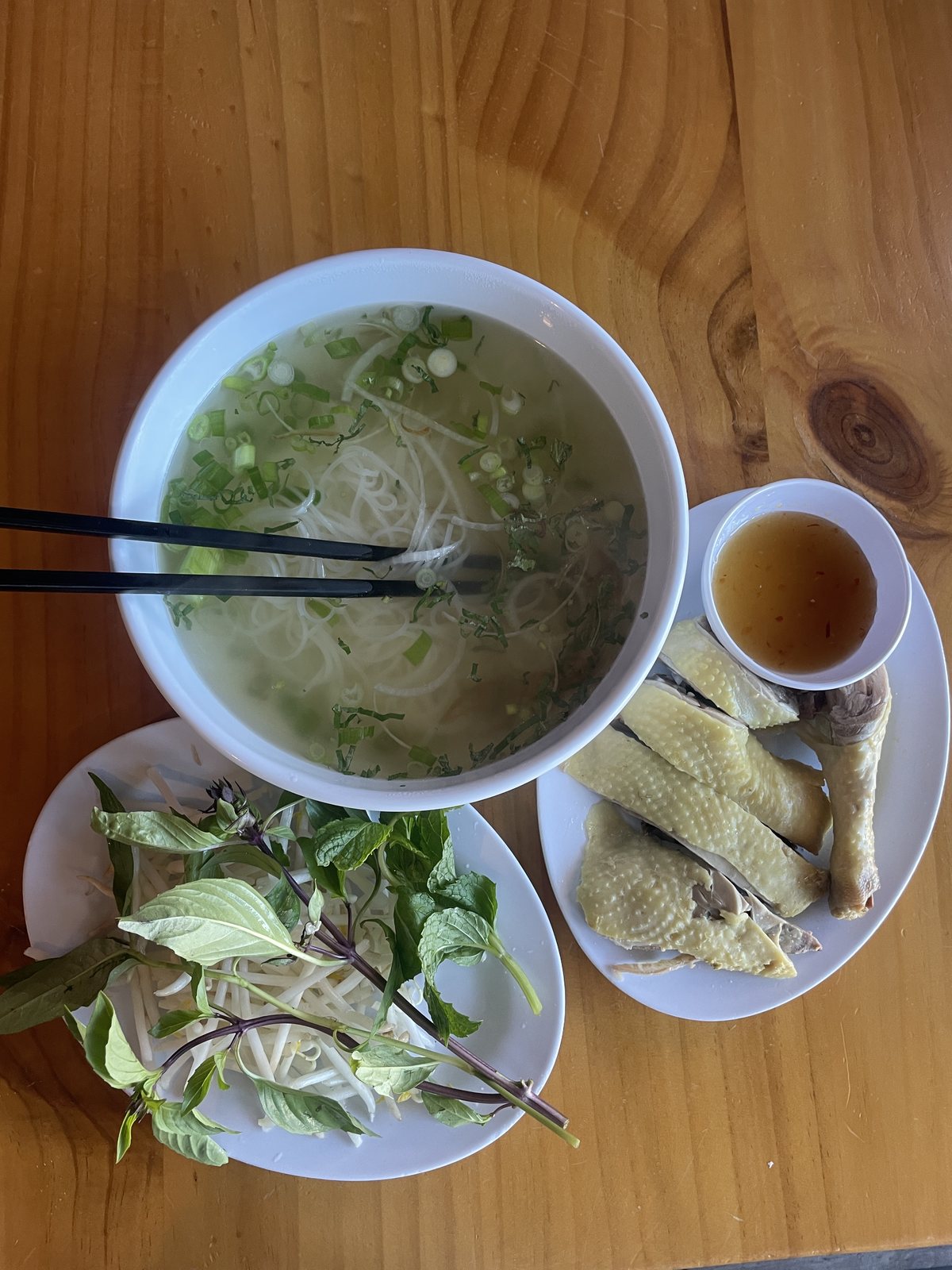 Chicken phở with herbs and ginger sauce